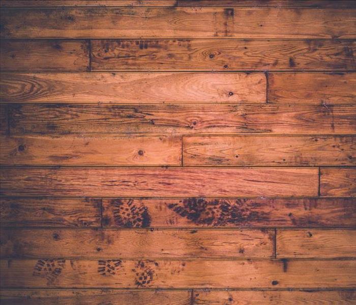 hard wood floors, footprints